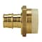 Apollo 3/4 in. Brass PEX-A Barb x 3/4 in. Schedule 40 PVC Straight Adapter EPXPVC34 - alternate 2